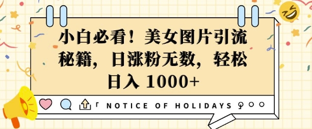 小白必看，美女图片引流秘籍，日涨粉无数，轻松日入几张【揭秘】-学长代码-毕业设计源码网