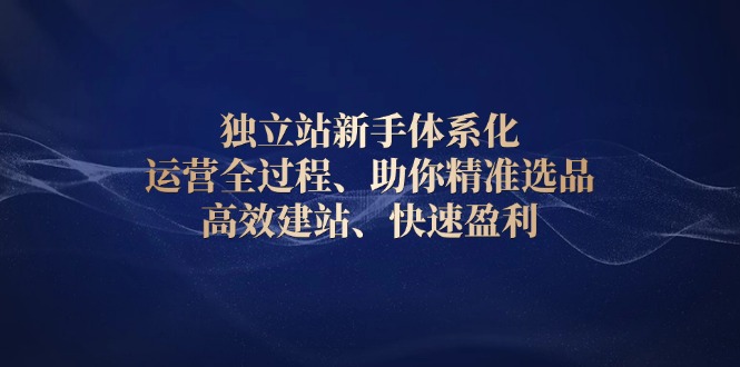 独立站新手体系化 运营全过程，助你精准选品、高效建站、快速盈利-学长代码-毕业设计源码网